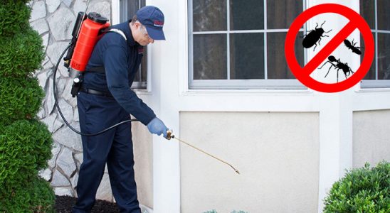 Aydıntepe Böcek İlaçlama böcek ilaçlama ve haşere kontrolü — ilaclama-tr.com